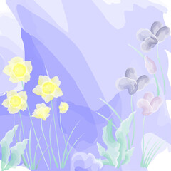 Spring flowers of daffodils and irises in watercolor technique in blue mist
