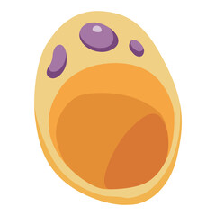 Human cell type icon. Medicine and biology illustrative symbol. Health, anatomy and science. Biology vector isolated on white background