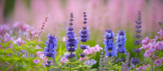 Naklejka premium Beautiful Blue Flowers Blossoming in a Serene Garden Setting with Lush Greenery