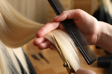 Hairdresser cutting client's hair with scissors in salon, closeup