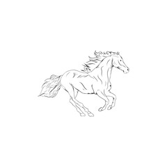 horse isolated on white logo illustration