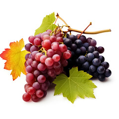 Fototapeta premium bunch of grapes with leaves on a white background