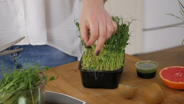 Close-up of a young woman cutting off sprouted peas with scissors for making smoothies with fruit. Healthy vegetarian smoothie in blender rich in antioxidants.