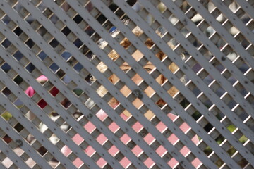 Woman behind a fence