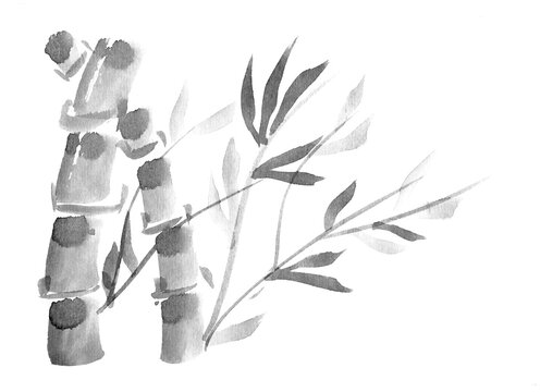Bamboo branches and leaves - hand drawn in ink in Japanese Sumi-e style
