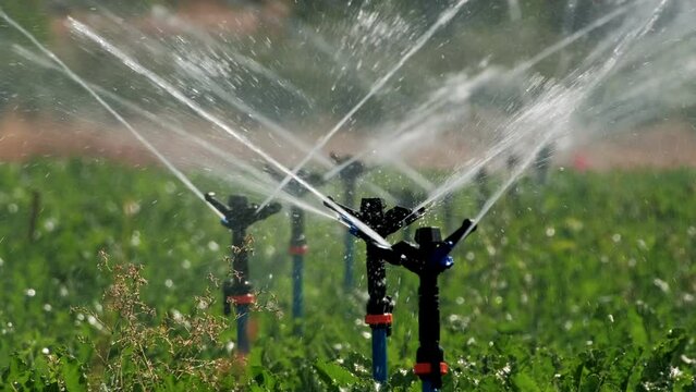 Close up of sprinkler irrigation system splashes, watering on a green agricultural fields. Automatic irrigation system watering.