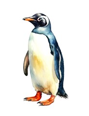 Watercolor illustration of a penguin isolated on white background.