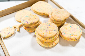 Obraz na płótnie Canvas Packing Sprinkle-Adorned Sugar Cookies into Boxes