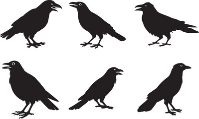 Raven and crow silhouette vector set design