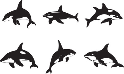 Set of killer whales. Collection of stylized orca whales. Black-white vector illustration © Alivio Arts