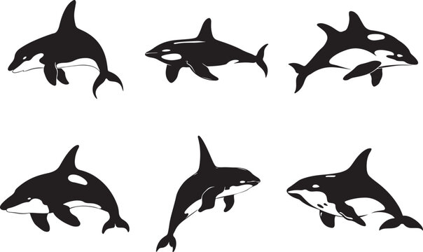 Set of killer whales. Collection of stylized orca whales. Black-white vector illustration
