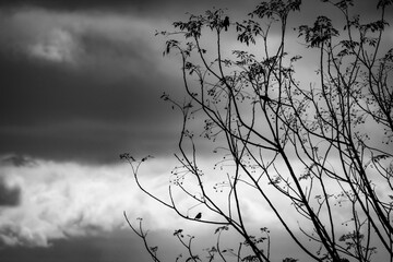 A storm is brewing