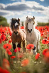 Deurstickers little horses in a poppy field © Monique