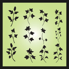 Ivy flower silhouette set Clipart on a hex color background