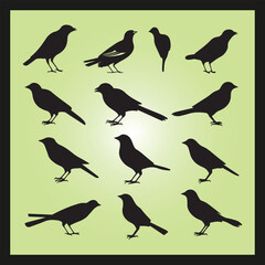 Jay bird silhouette set Clipart on a hex color background
