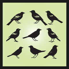 Jay bird silhouette set Clipart on a hex color background