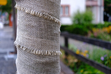 Natural jute film tape for protect tree in the winter.
