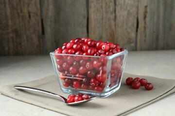 Cranberries in bowl and spoon on light grey table