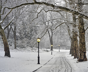 Central Park in winter , snow storm