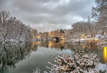 Fotobehang Gapstow Brug Gapstow Bridge in Central Park, during snow storm