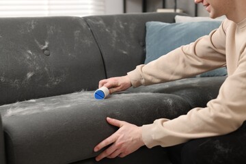 Pet shedding. Smiling man with lint roller removing dog's hair from sofa at home, closeup