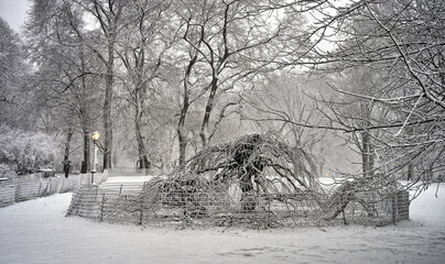 Central Park in winter , snow storm
