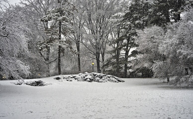 Central Park in winter , snow storm