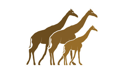 Giraffe family walking illustration design vector