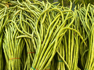 Heap of fresh yardlong beans (Asparagus bean) on shelf at a fresh market