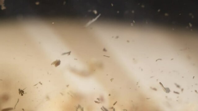 Delight in the mesmerizing dance of wood shavings and sawdust as they cascade towards the camera in slow motion.