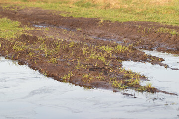 Flooded dirt country road, fragment. 