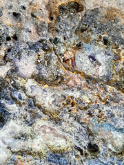 Coastal rocks and sea water as a natural background.