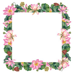 Watercolor lotus, pink flowers, illustration, square frame, hand painted, realistic, decoration, invitation