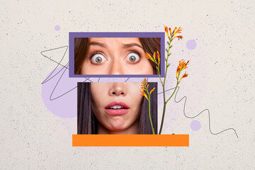 Creative collage picture illustration image frame element young woman mouth open scary terrified...