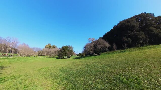 Nature in Villa Doria Pamphilj - Rome