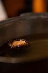 Shiitake(椎茸)