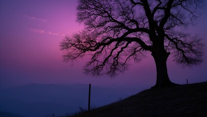 Fototapeta premium evening in the hill alone tree in the purple sky background
