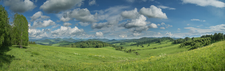 Panoramic view of green meadows and hills on a summer day, cloudy sky	