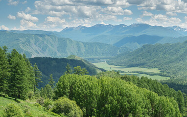 Naklejka premium View of the mountain valley, summer greenery, sunny day