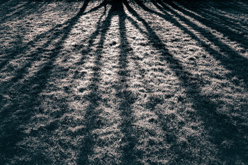 Schwarzweiß Schatten