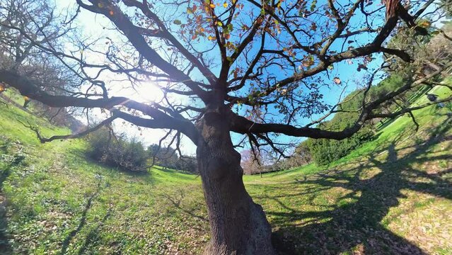 Nature in Villa Doria Pamphilj - Rome