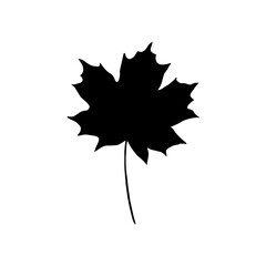 Maple leaf silhouette. Vector illustration drawn by hand.