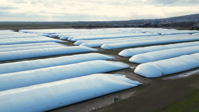 Airtight plastic bags storage for grain seen from above. Flyover footage of alternative to silo storage for grain produce in the fields of a farm in winter. Bulk sttorage for dry corn, soybean, wheat
