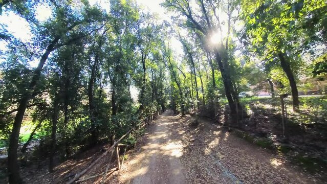 Nature in Villa Doria Pamphilj - Rome