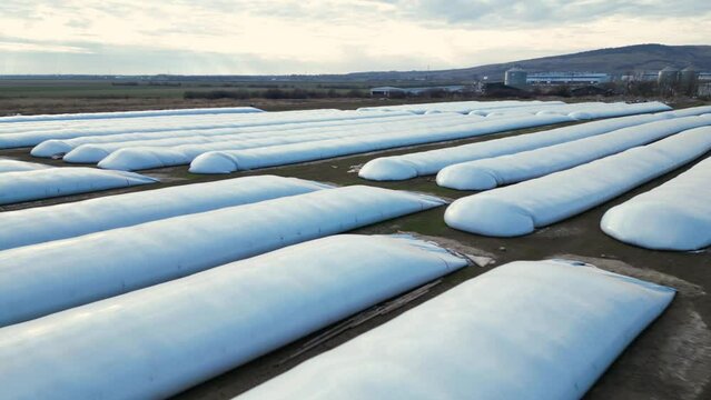Airtight plastic bags storage for grain seen from above. Flyover footage of alternative to silo storage for grain produce in the fields of a farm in winter. Bulk sttorage for dry corn, soybean, wheat
