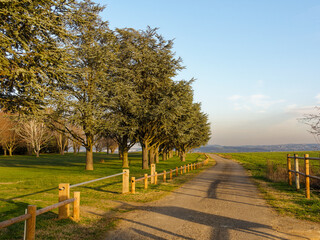 Serene and picturesque landscape of a park during the golden hour, warm sunlight, lush green grass, tall trees and a dirt path bordered by wooden fences