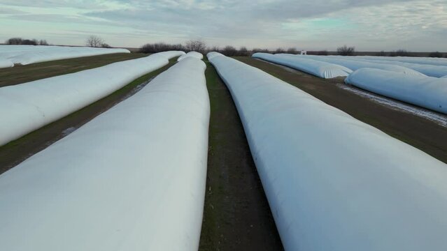 Airtight plastic bags storage for grain seen from above. Flyover footage of alternative to silo storage for grain produce in the fields of a farm in winter. Bulk sttorage for dry corn, soybean, wheat
