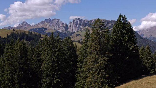 Summer view of the Apls