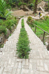 stone steps in the garden
