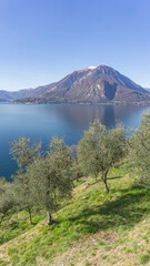 Naklejka na ściany i meble lake in the mountains on a sunny day, Lago di Como